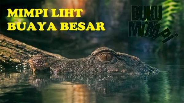 Tafsir Mimpi Melihat Buaya Dalam Togel 2D, 3D, dan 4D