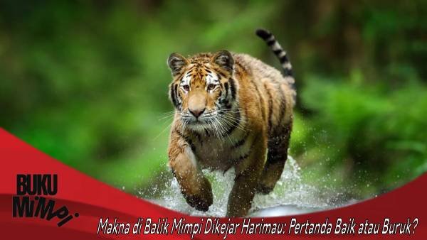 Mimpi Dikejar Harimau