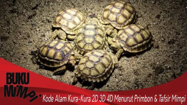 Kode Alam Kura-Kura