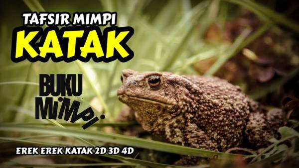 Buku Mimpi Kodok